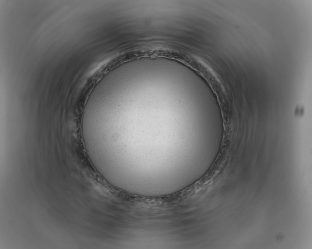 X0000090920823200708201804