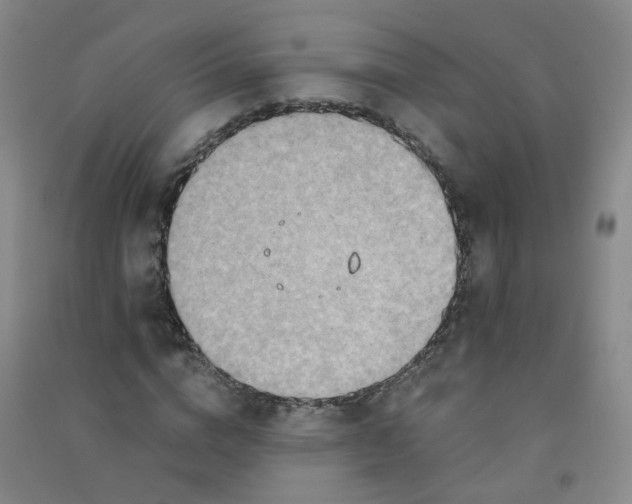 X0000090920824200708201804