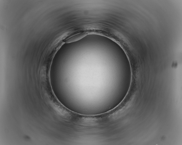 X0000090920825200708201804