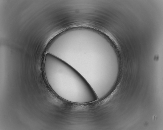 X0000090920826200708201804