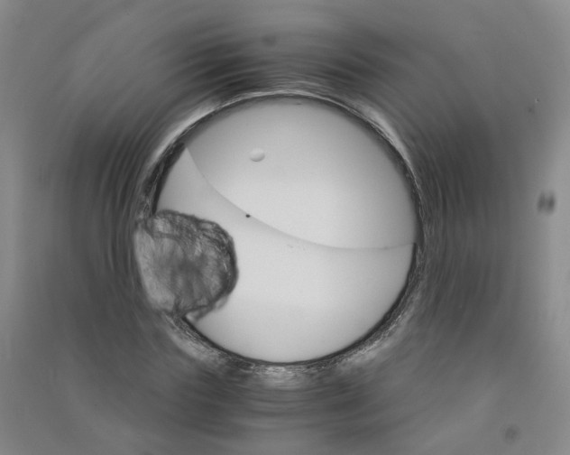 X0000090920827200708201804