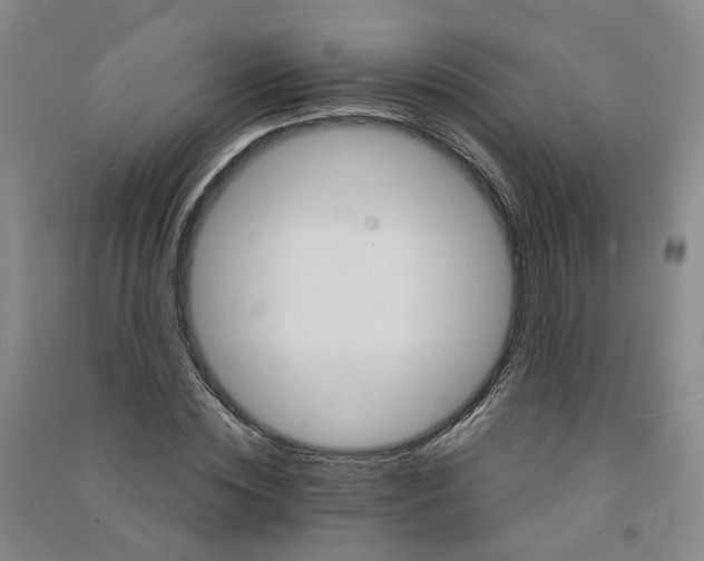 X0000090920828200708201804