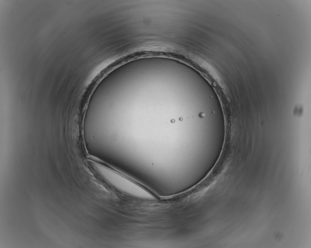 X0000090920829200708201804