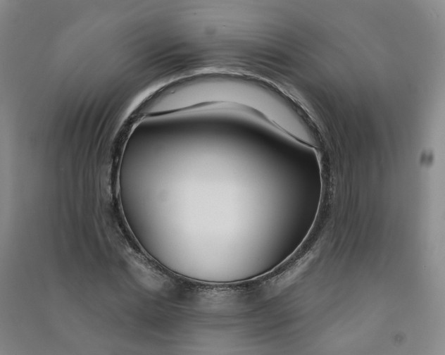 X0000090920830200708201804