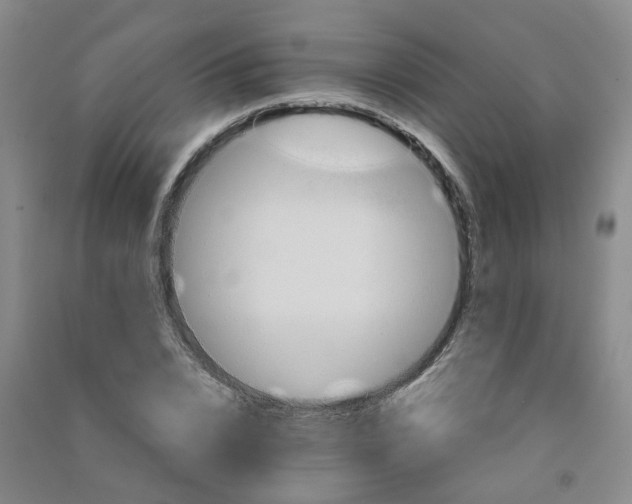 X0000090920832200708201804