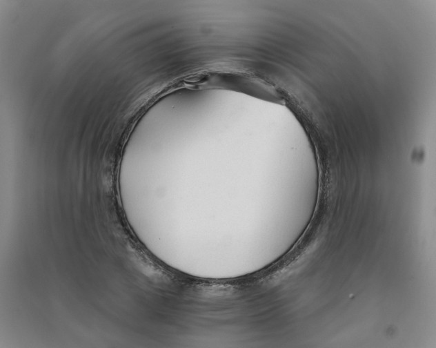 X0000090920833200708201804