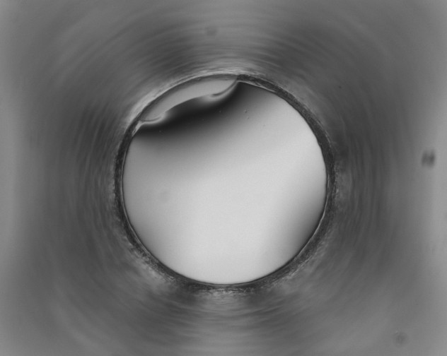 X0000090920834200708201804