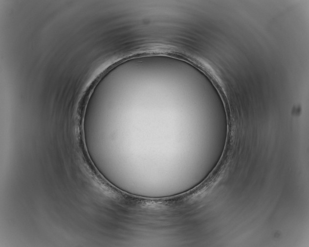 X0000090920835200708201804