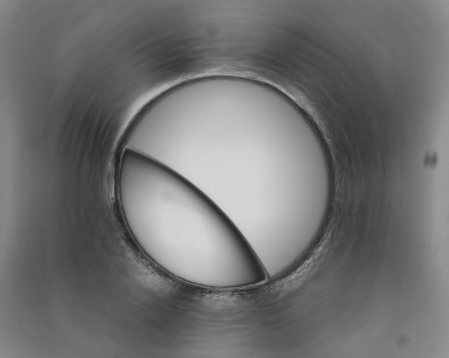 X0000090920838200708201804