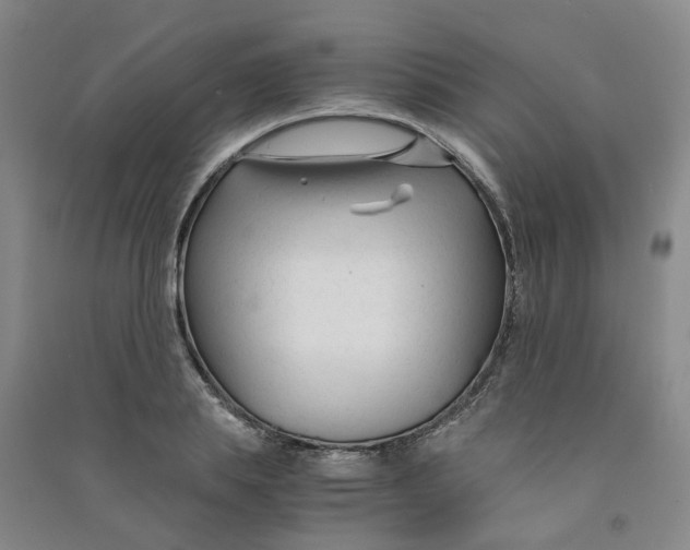 X0000090920839200708201804