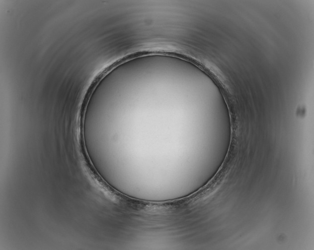 X0000090920840200708201804