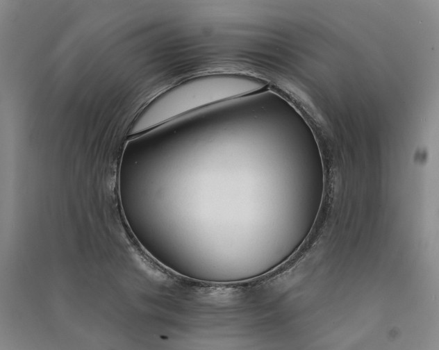 X0000090920841200708201804