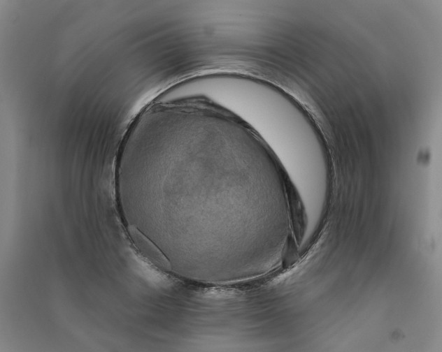 X0000090920842200708201804