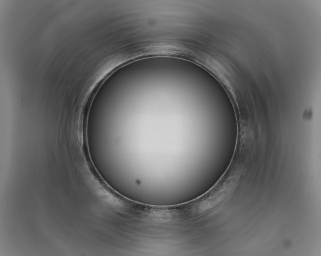 X0000090920843200708201804