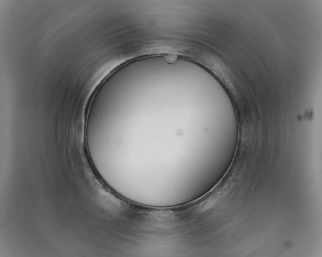 X0000090920844200708201804