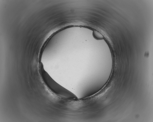 X0000090920845200708201804