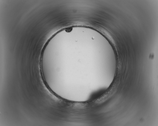 X0000090920847200708201804