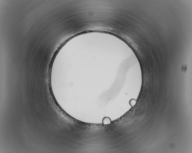 X0000090920848200708201804