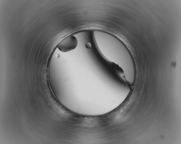 X0000090920850200708201804