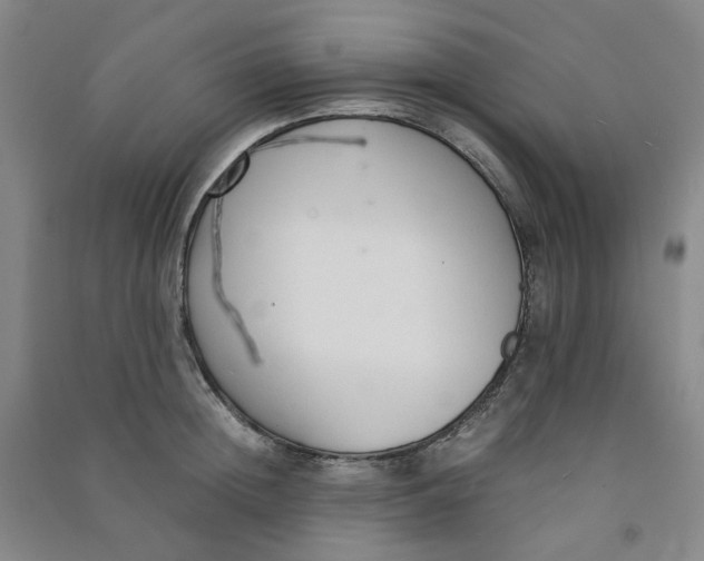 X0000090920852200708201804