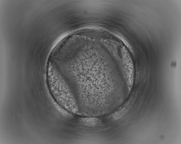 X0000090920853200708201804