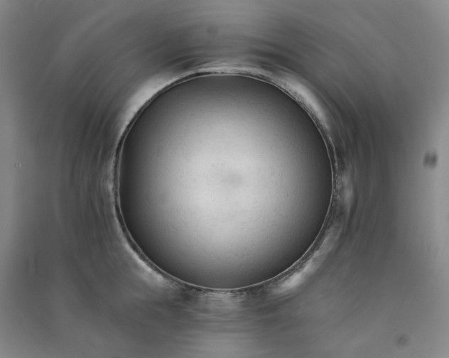 X0000090920855200708201804