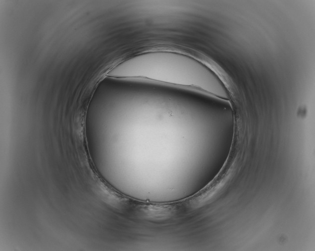 X0000090920857200708201804