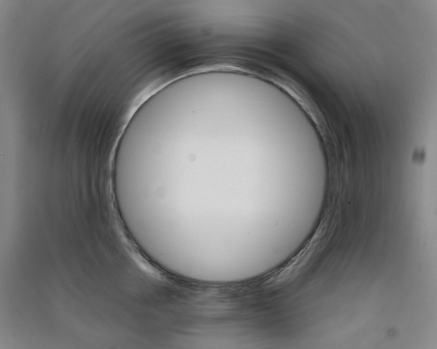 X0000090920858200708201804