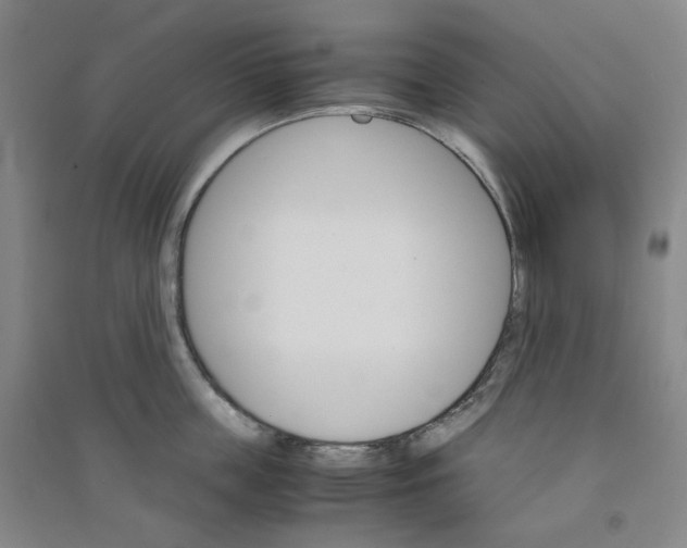 X0000090920859200708201804