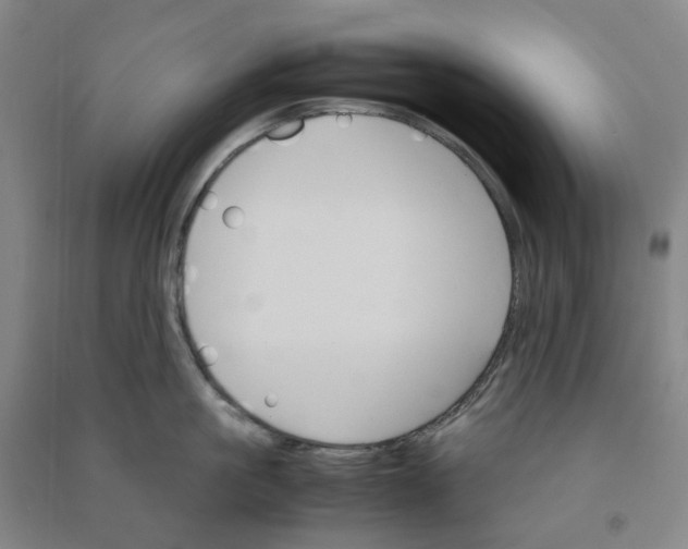 X0000090920861200708201804