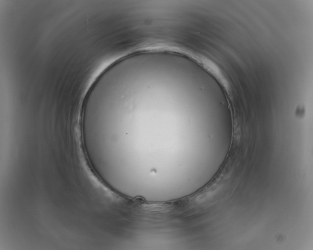 X0000090920863200708201804