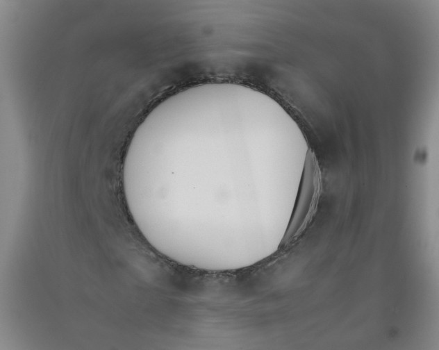 X0000090920865200708201804