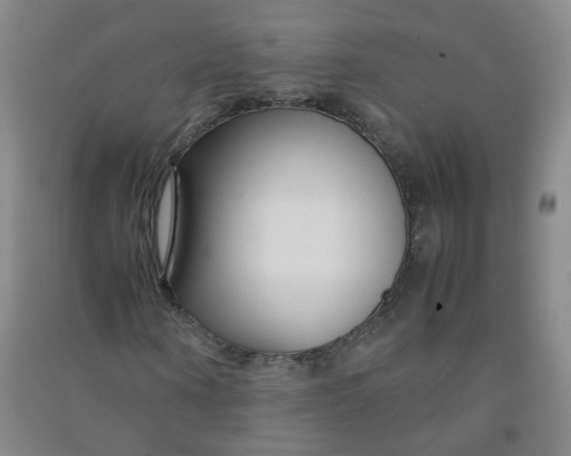 X0000090920866200708201804