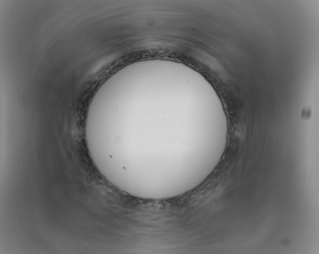 X0000090920869200708201804