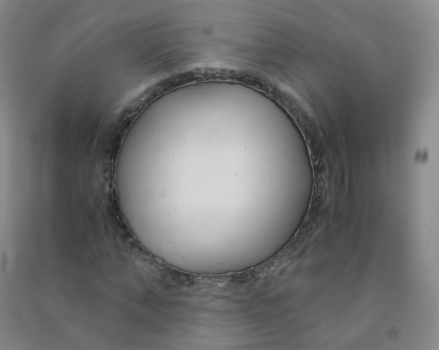 X0000090920870200708201804