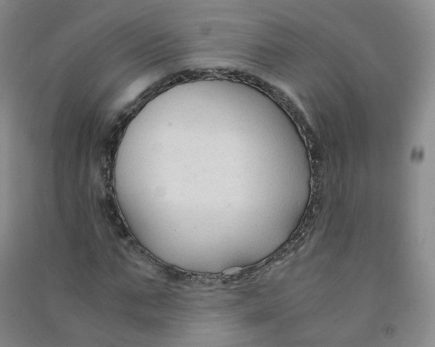 X0000090920871200708201804