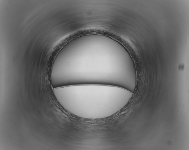 X0000090920872200708201804