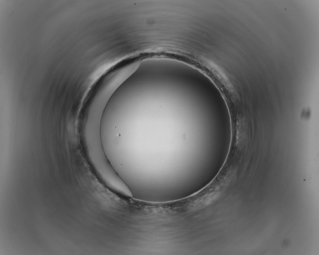 X0000090920876200708201804