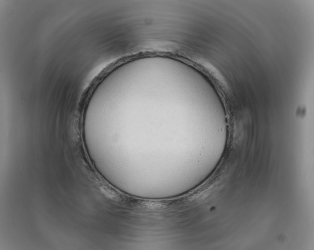 X0000090920878200708201804