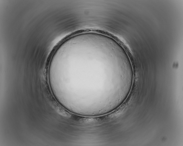 X0000090920879200708201803