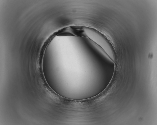 X0000090920880200708201803