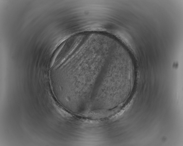 X0000090920881200708201803