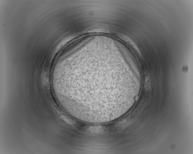 X0000090920882200708201803