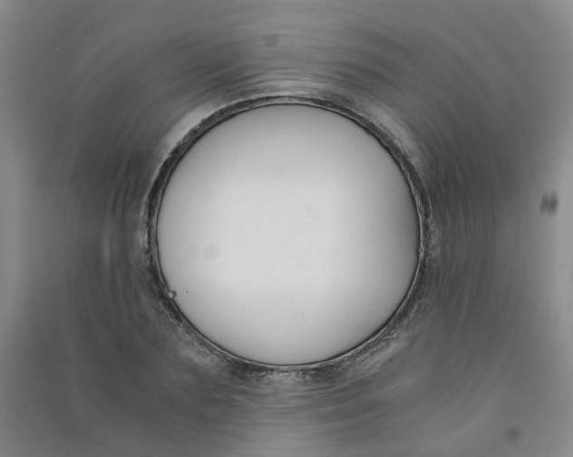 X0000090920883200708201803