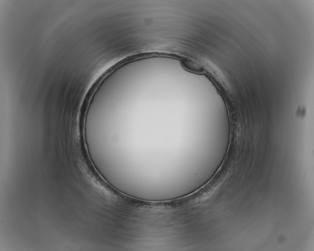 X0000090920884200708201803