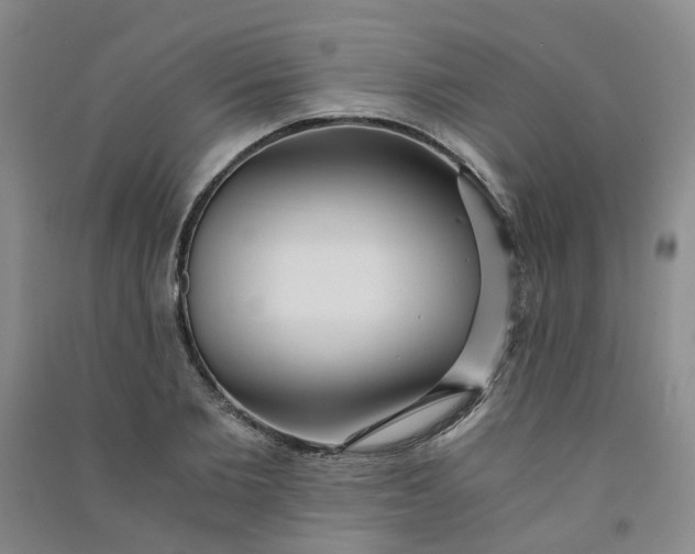 X0000090920885200708201803