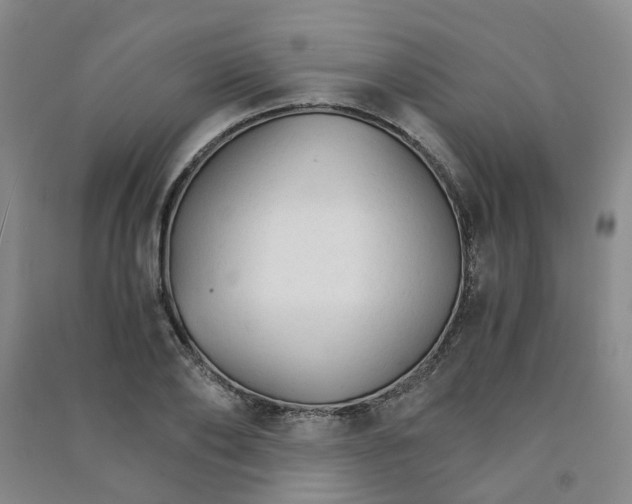 X0000090920886200708201803