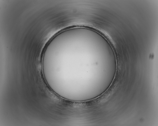 X0000090920887200708201803