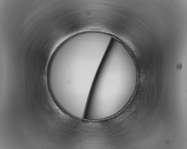 X0000090920888200708201803