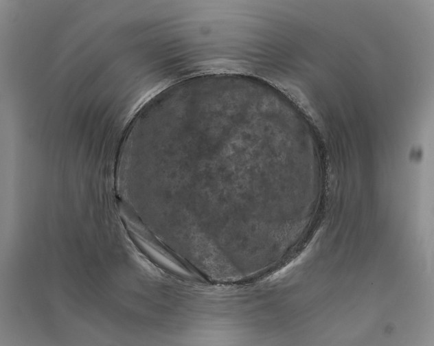 X0000090920889200708201803